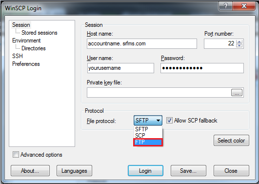 tutorial-adobe-3